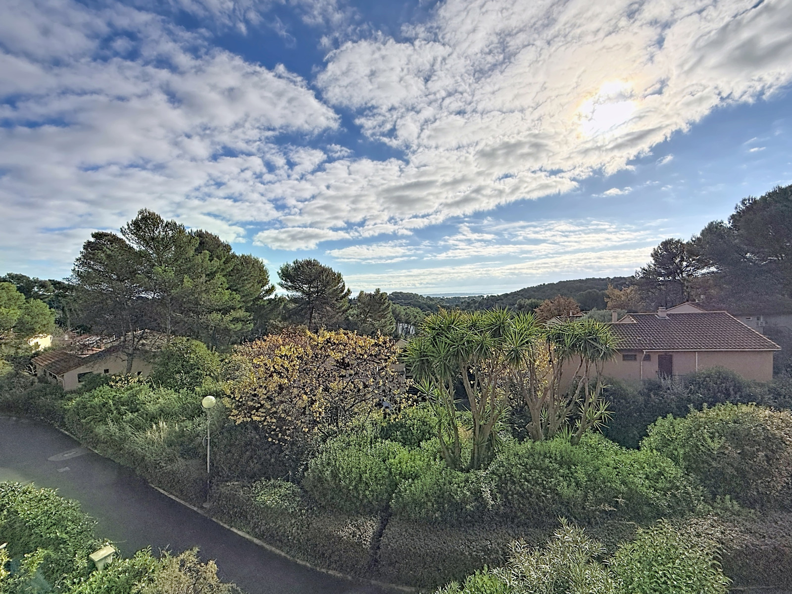 
                                                Location
                                                 .