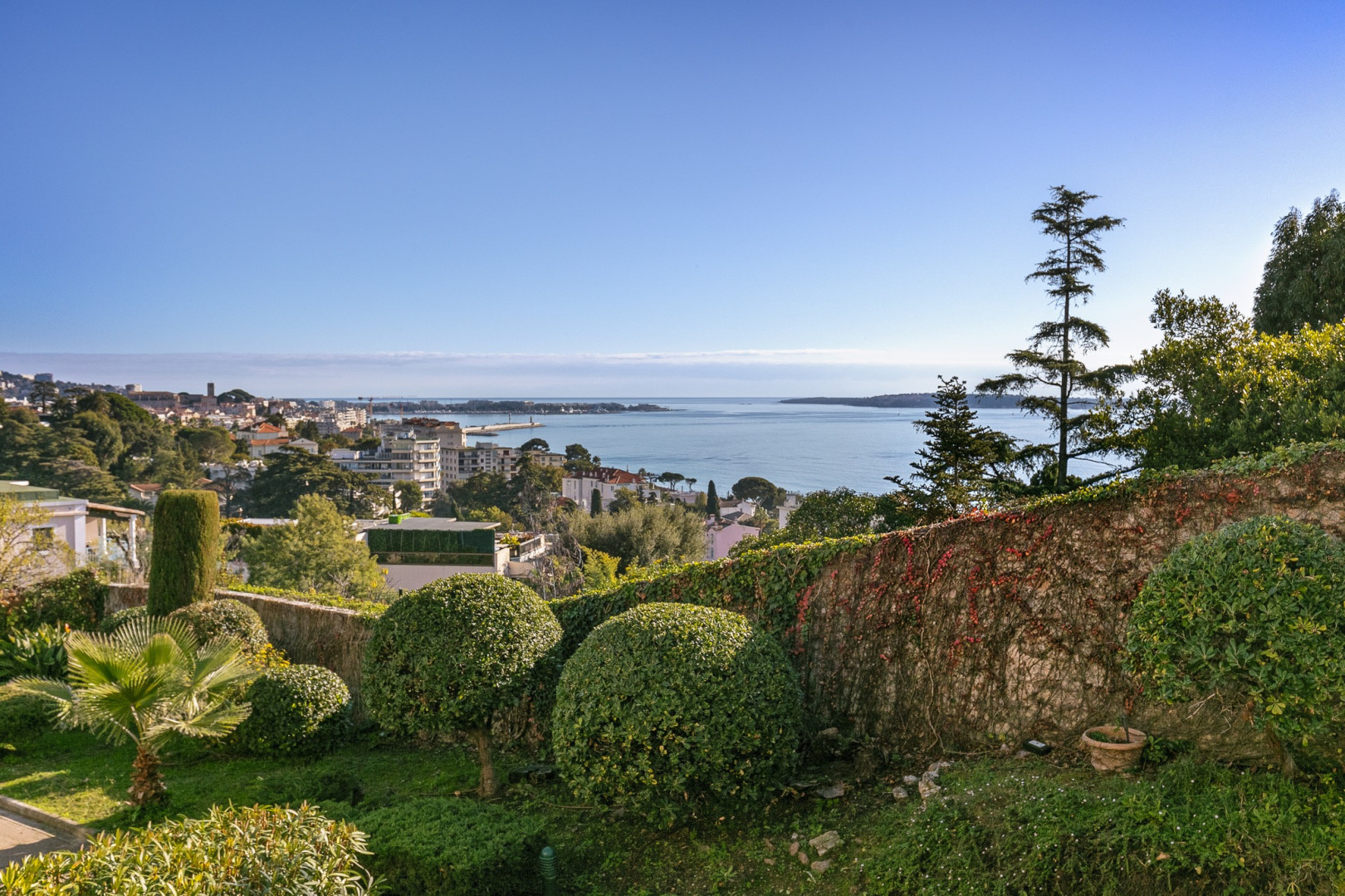 
                                                Vente
                                                 .