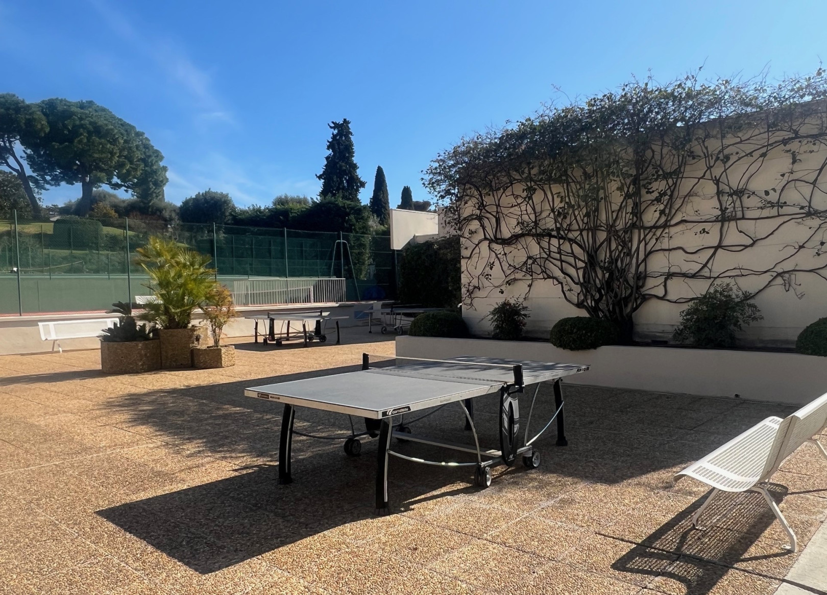 
                                                Location
                                                 .