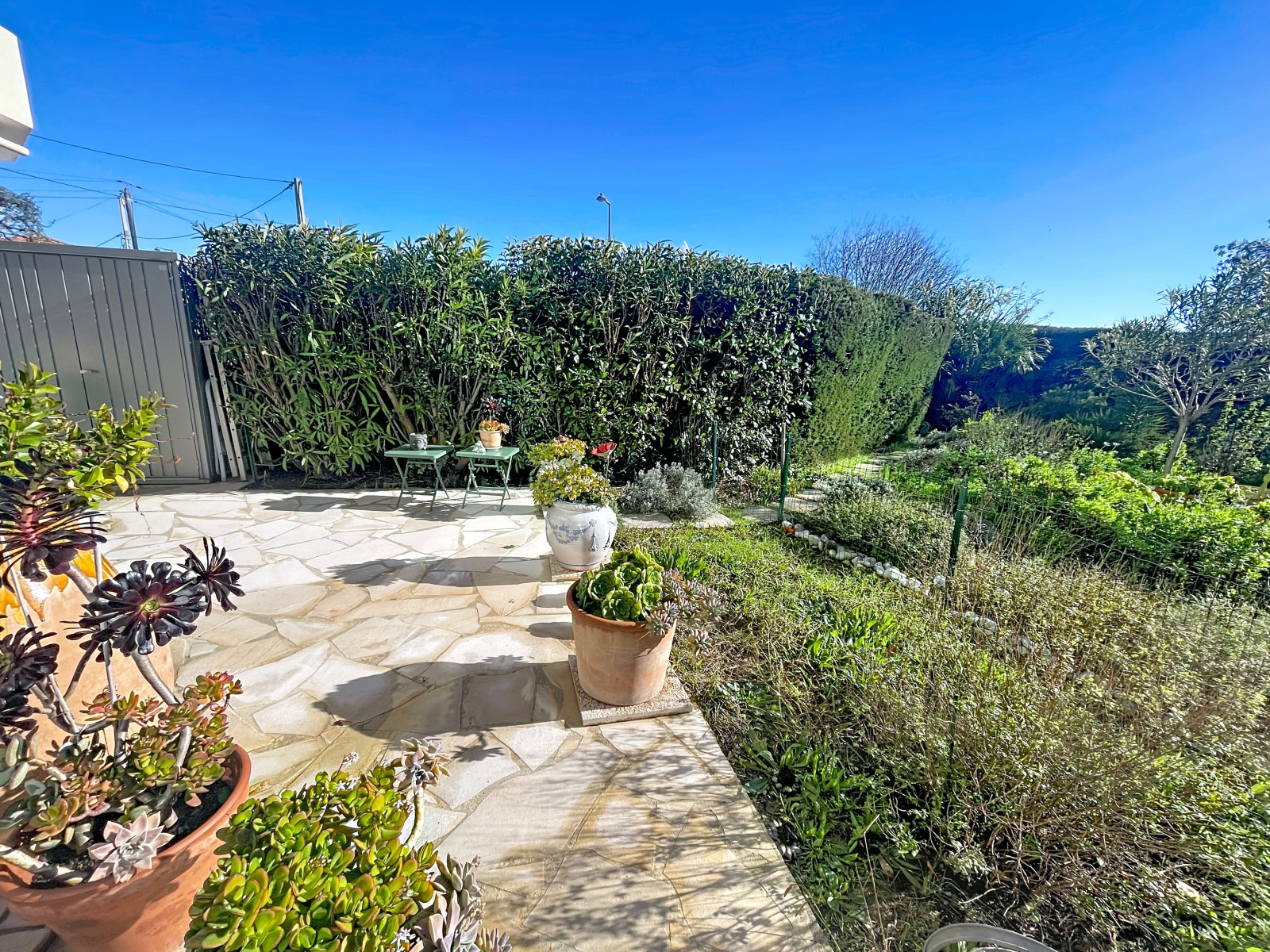 
                                                Vente
                                                 .