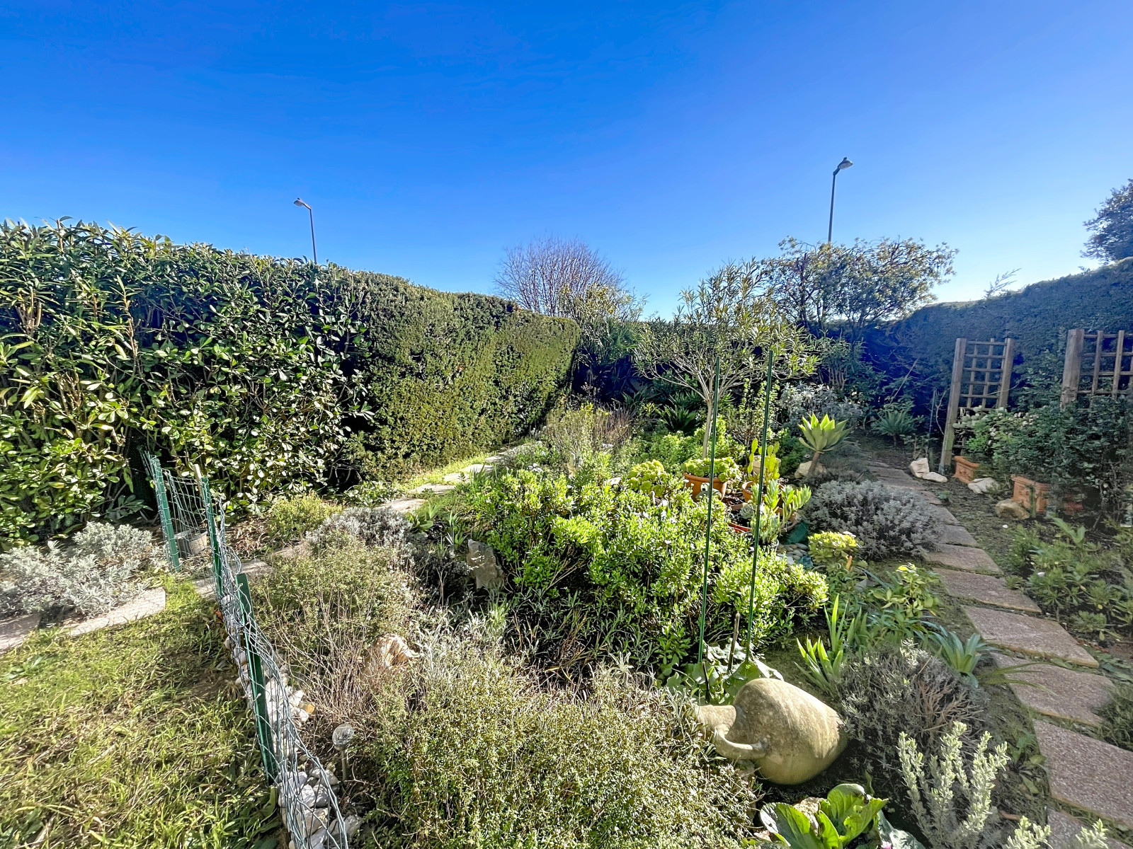 
                                                Vente
                                                 .