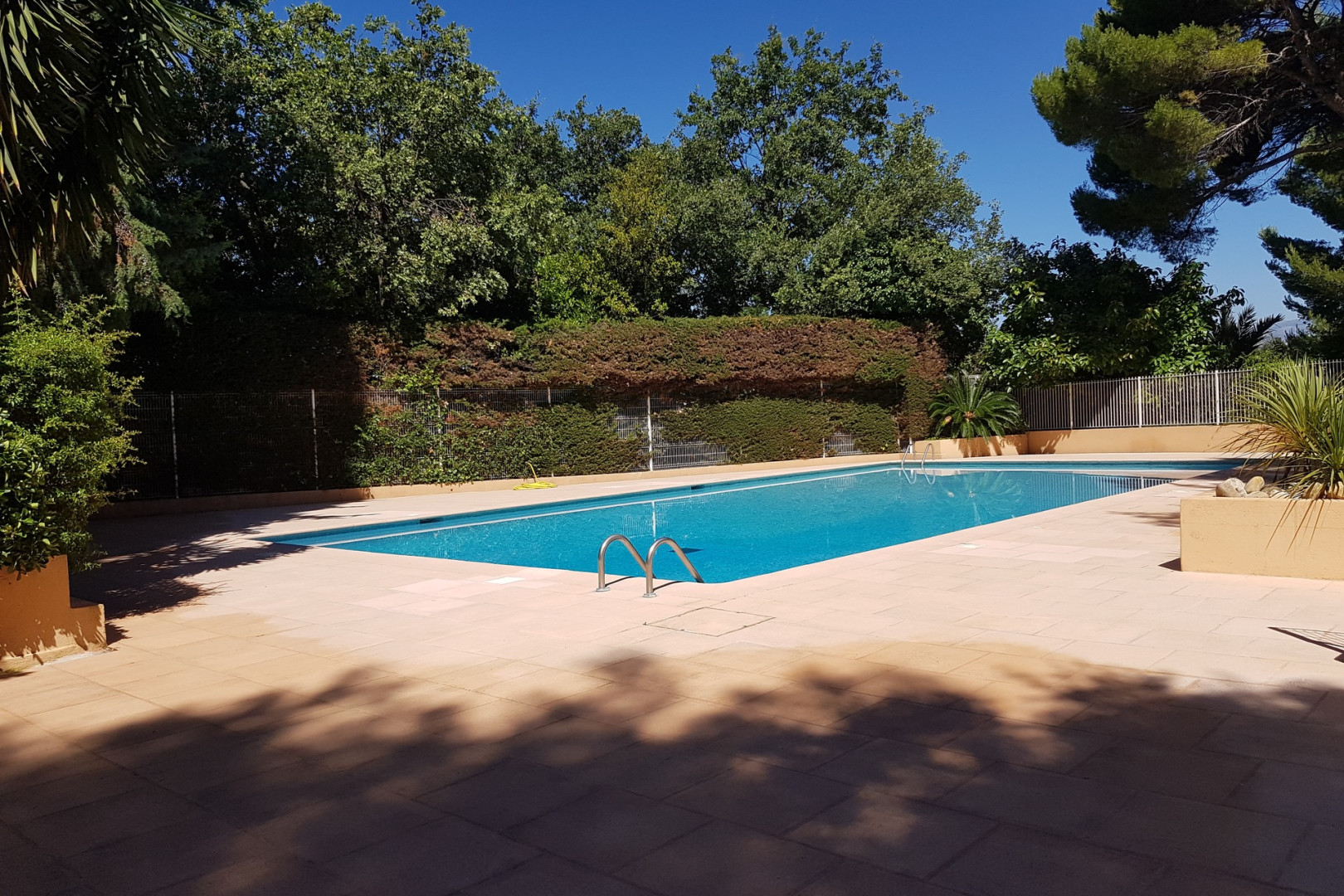 
                                                Location
                                                 .