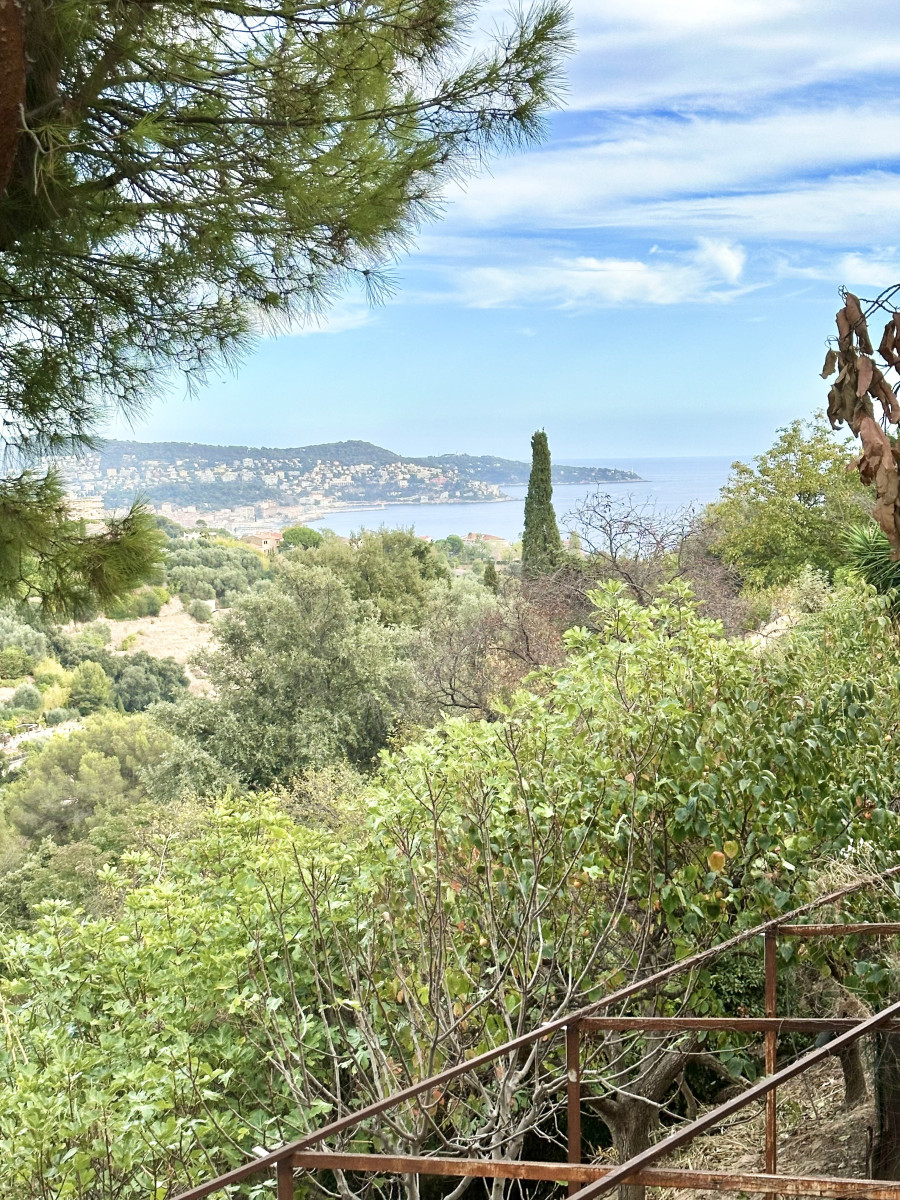 
                                                Vente
                                                 .