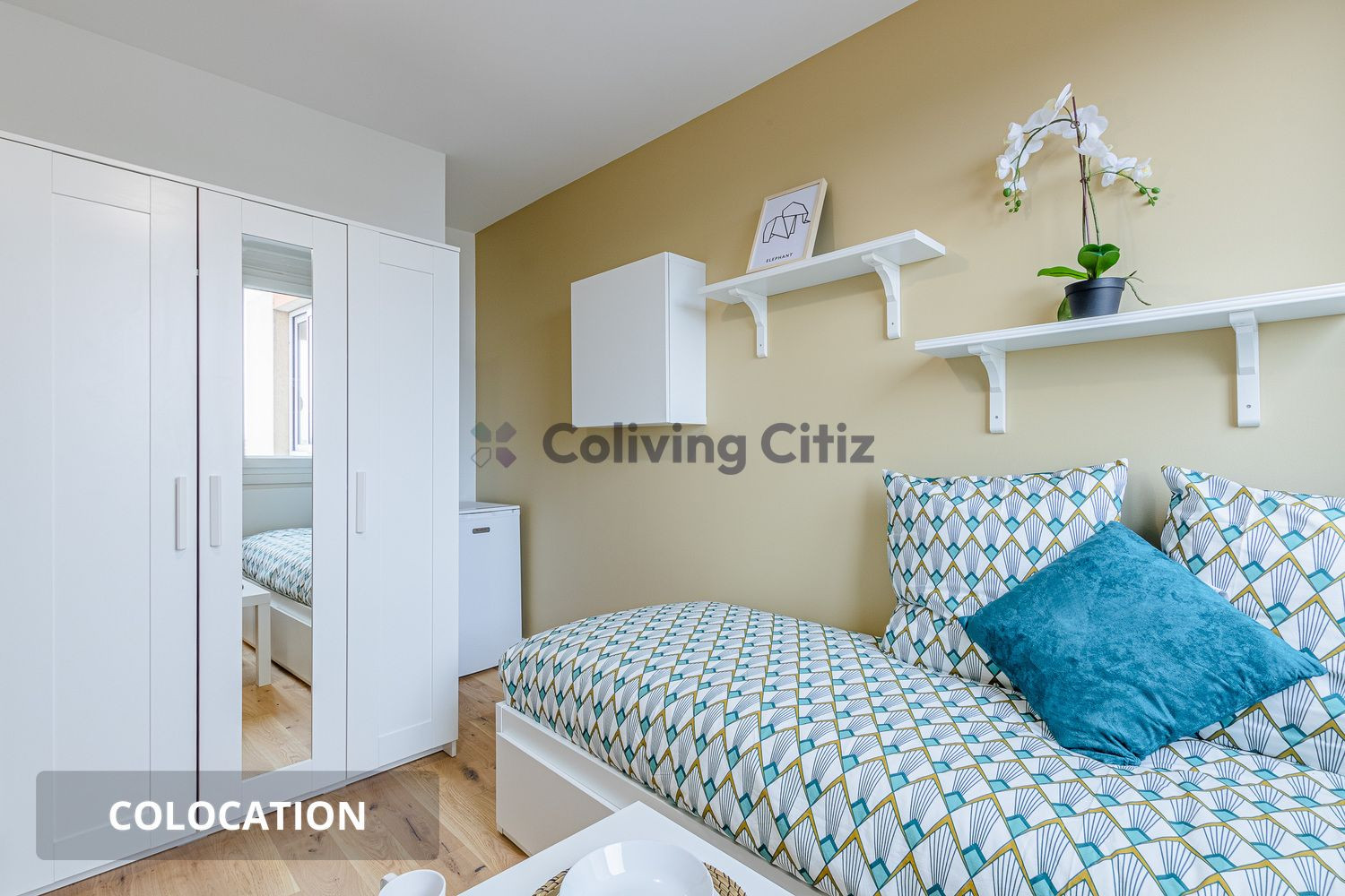 
                                                Colocation
                                                 1 chambre disponible en colocation
