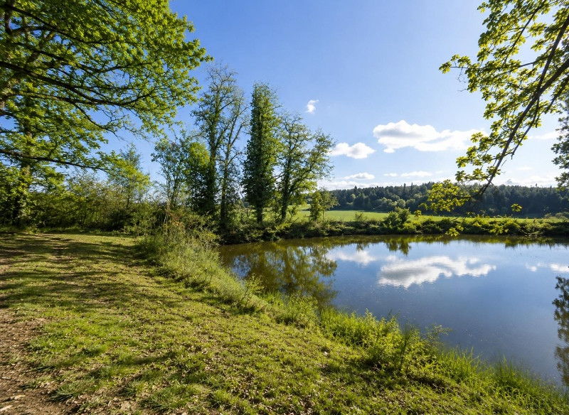 
                                                Vente
                                                 10 HECTARES • 2 ÉTANGS • 2 MAISONS • DÉPENDANCES XXL
