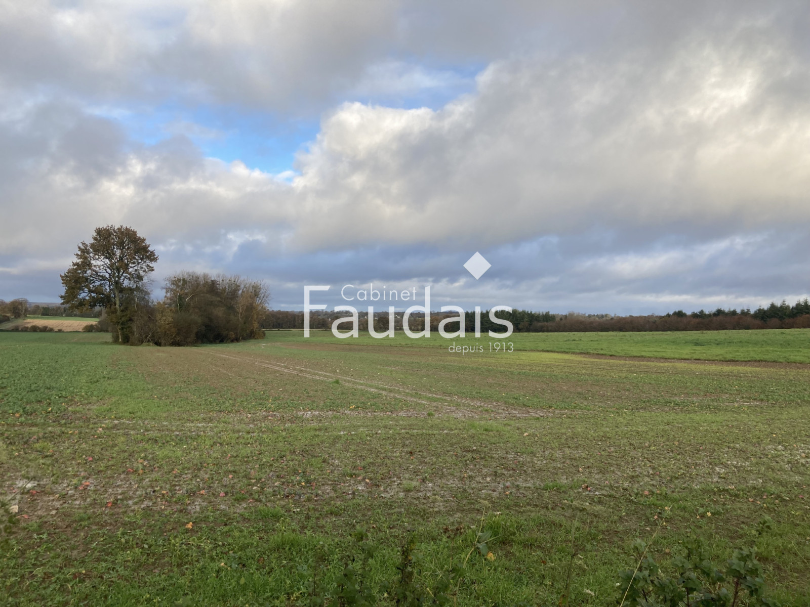 
                                                Vente
                                                 12 hectares agricoles loués