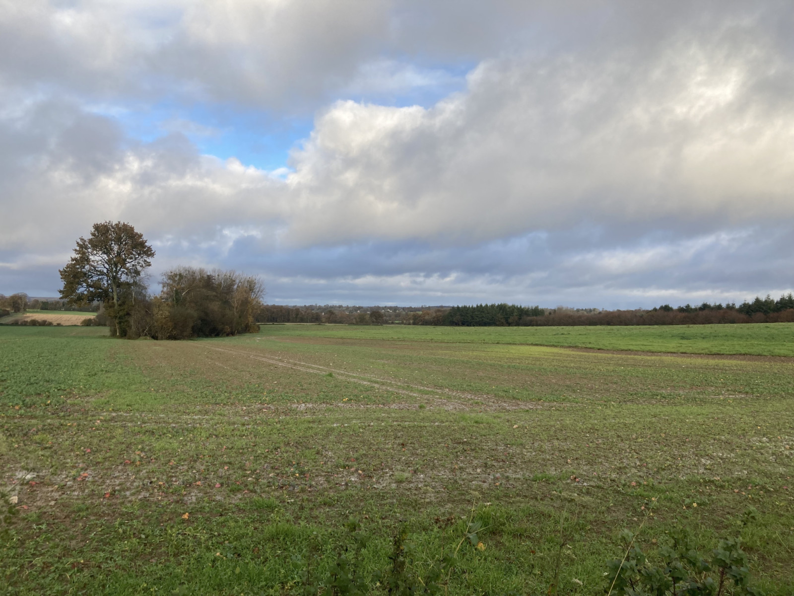 
                                                Vente
                                                 12 hectares agricoles loués