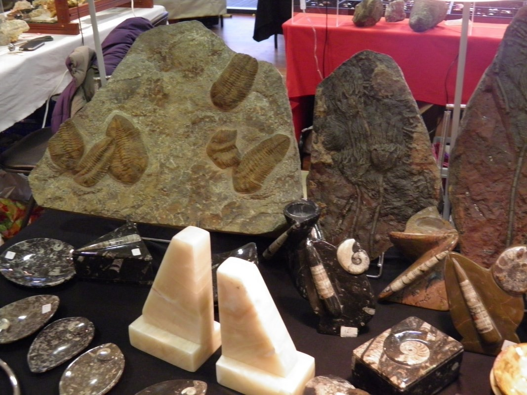 
                                                Collection
                                                 21ème Bourse exposition de minéraux et fossiles