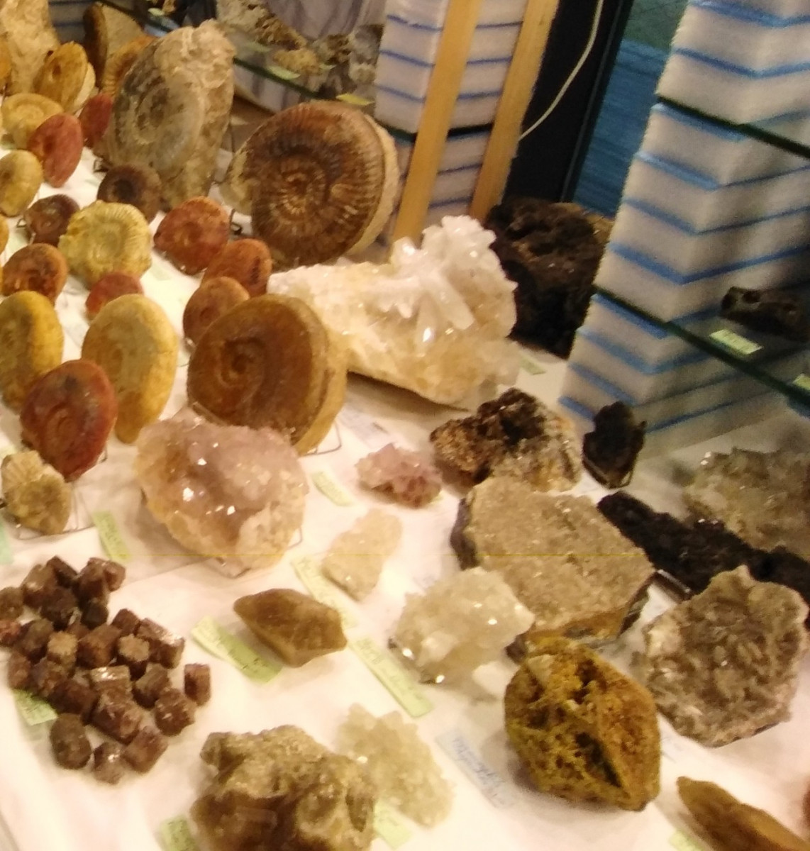 
                                                Collection
                                                 22ème Salon exposition de minéraux et fossiles