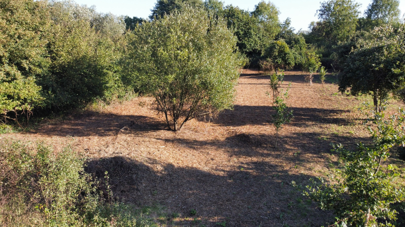 
                                                Vente
                                                 A 10mn de SAINT-LO - en campagne