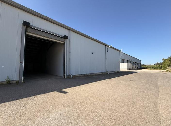 
                                                Location
                                                 À louer – Entrepôt de 1 680 m² à Cavaillon – Vaucluse (84)