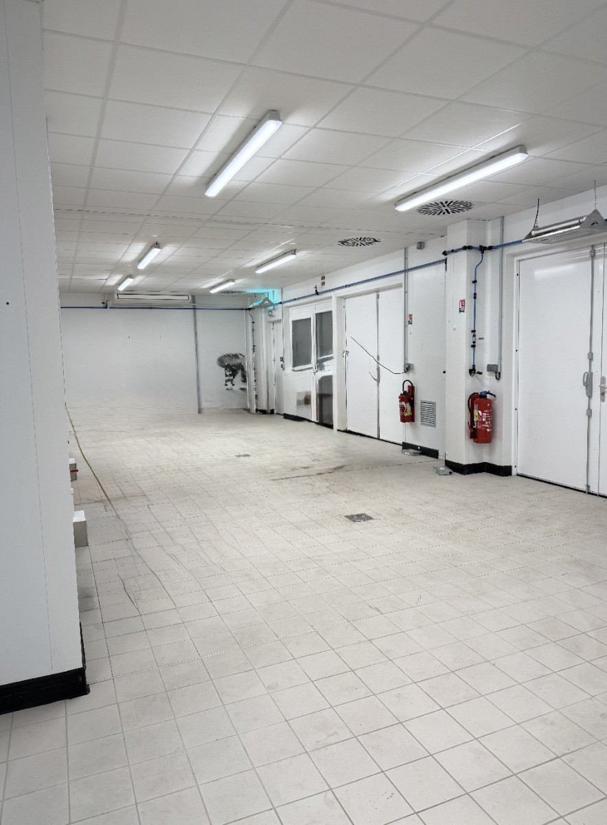 
                                                Location
                                                 À louer – Local d'activités agroalimentaire de 226 m² à Henrichemont – Cher (18)