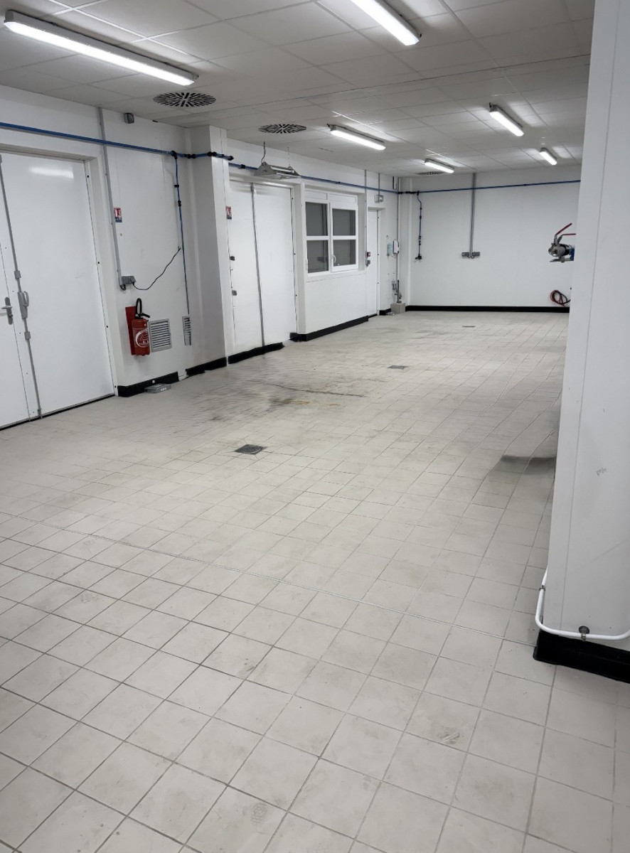 
                                                Location
                                                 À louer – Local d'activités agroalimentaire de 226 m² à Henrichemont – Cher (18)