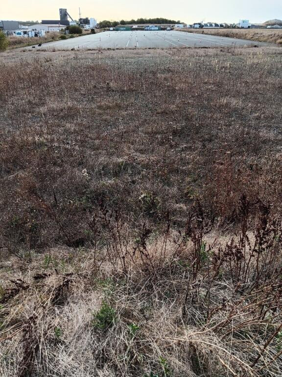 
                                                Location
                                                 À louer –Terrain Industriel de 1,8 hectares à Saint-Sauveur-d'Aunis – Charente-Maritime (17)
