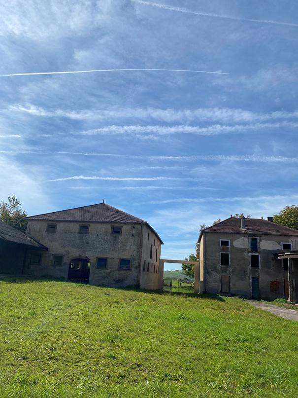 
                                                Vente
                                                 À vendre - Ancien corps de ferme du XVIIIe siècle de 4 500 m² à reconvertir en hébergement touristique à Vittel - Vosges (88)