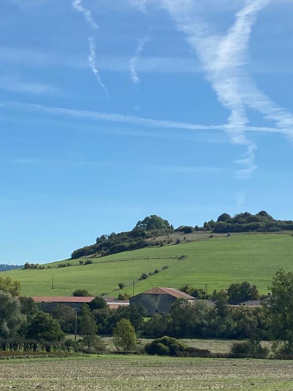 
                                                Vente
                                                 À vendre - Ancien corps de ferme du XVIIIe siècle de 4 500 m² à reconvertir en hébergement touristique à Vittel - Vosges (88)