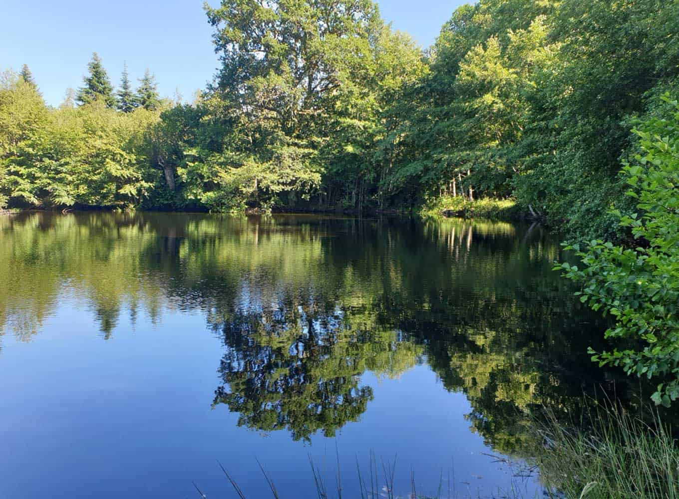 
                                                Vente
                                                 À vendre - Centre de vacances et d'accueil de 51 hectares à Sainte-Marie-Lapanouze – Corrèze (19)