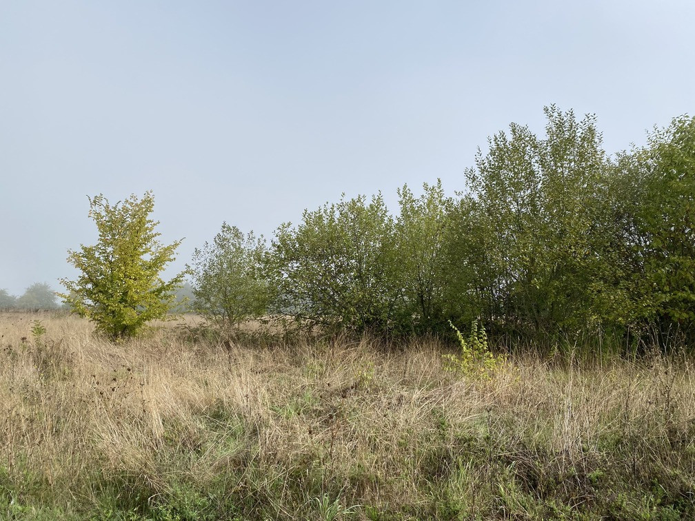 
                                                Vente
                                                 À vendre ou à louer – Bâtiment industriel de 1 200 m² à Bléneau – Yonne (89)