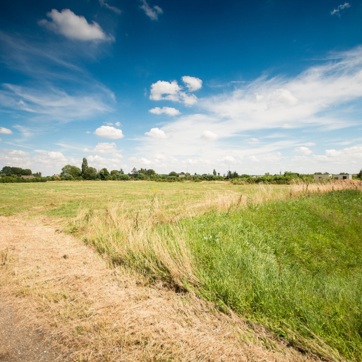 
                                                Vente
                                                 À vendre - Terrain industriel de 10 000 m² à Champrond-en-Gâtine – Eure-et-Loir (28)