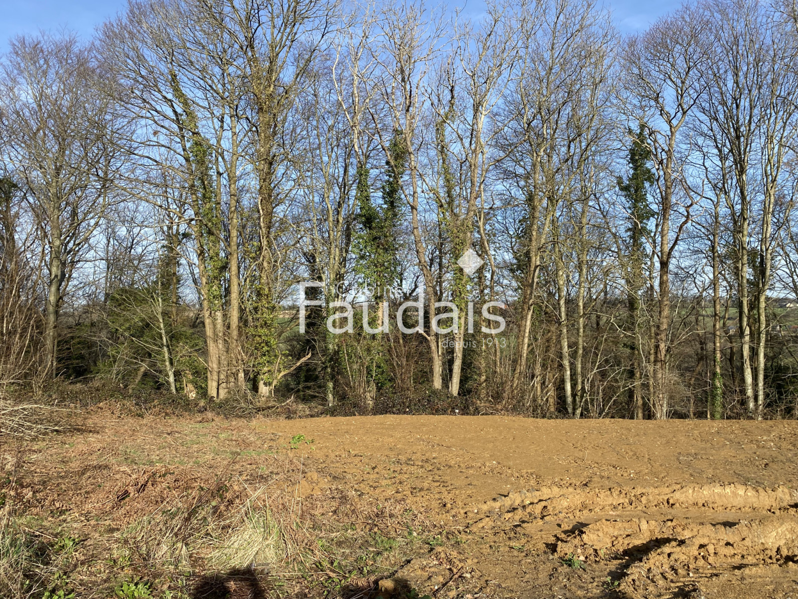 
                                                Vente
                                                 AGNEAUX - TERRAIN A BATIR 