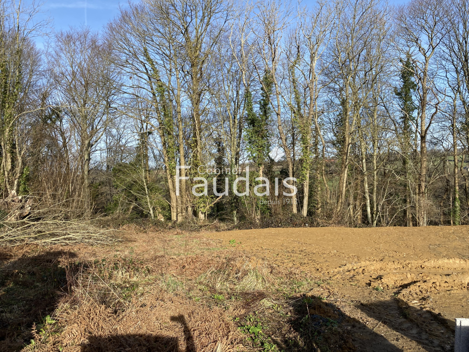 
                                                Vente
                                                 AGNEAUX - TERRAIN A BATIR 