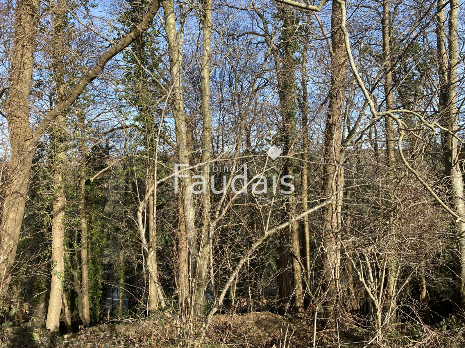 
                                                Vente
                                                 AGNEAUX - TERRAIN A BATIR 