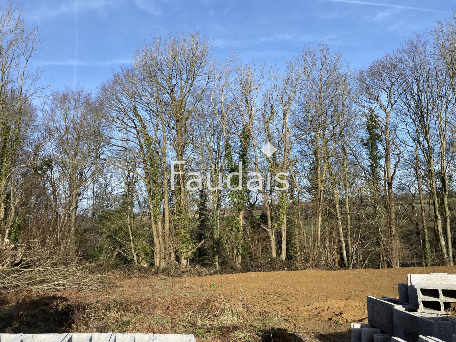 
                                                Vente
                                                 AGNEAUX - TERRAIN A BATIR 