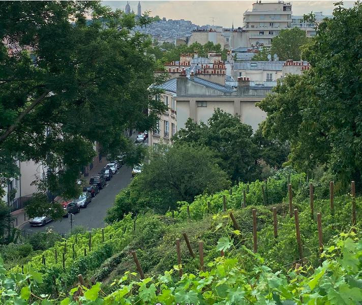 
                                                Vente
                                                 Appartement 1 pièce