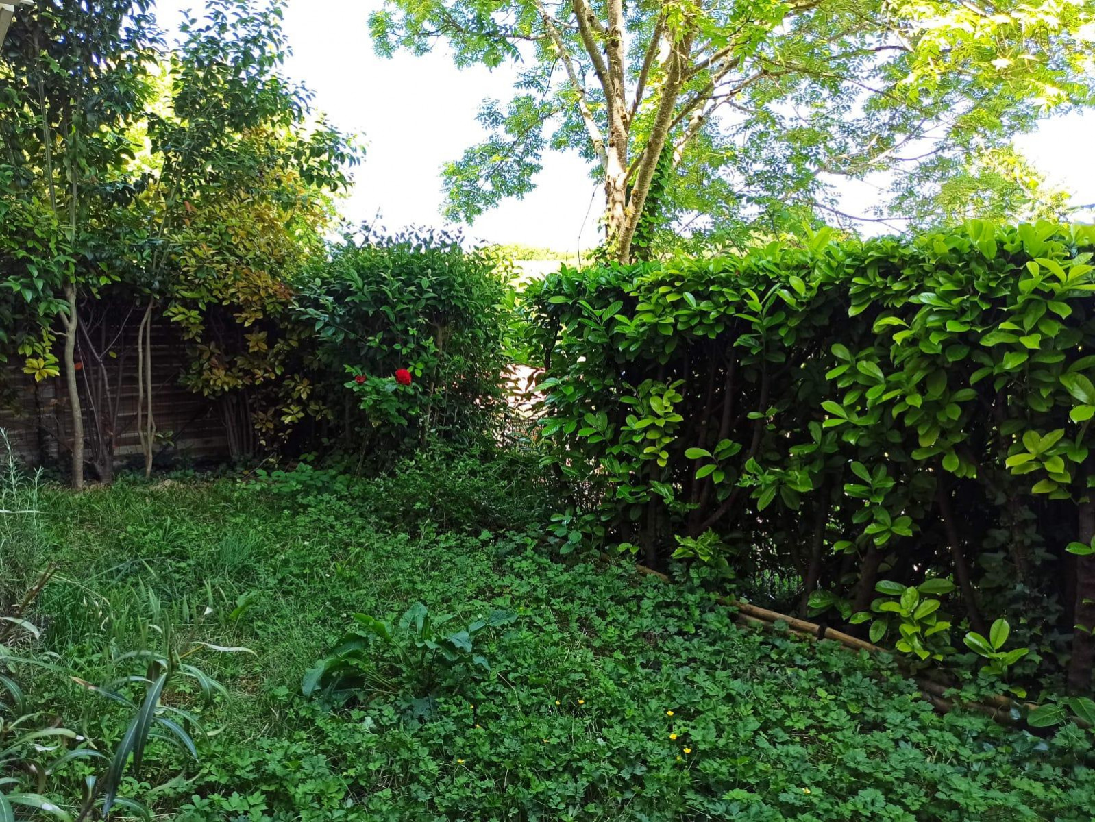 
                                                Vente
                                                 Appartement 2 pièces