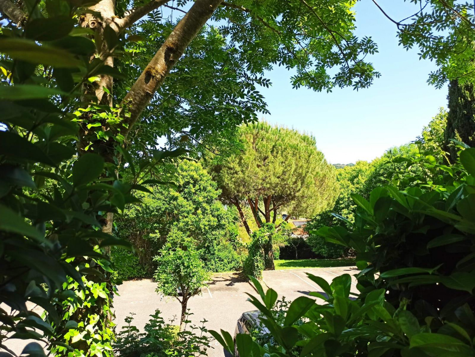 
                                                Vente
                                                 Appartement 2 pièces
