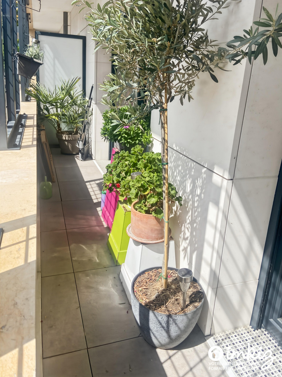 
                                                Vente
                                                 Appartement 2 pièces