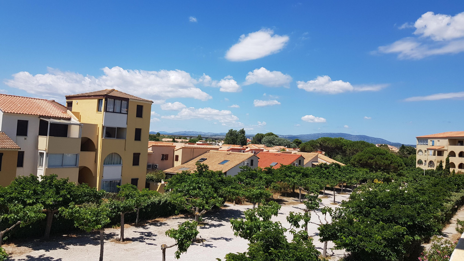 
                                                Vente
                                                 Appartement 2 pièces