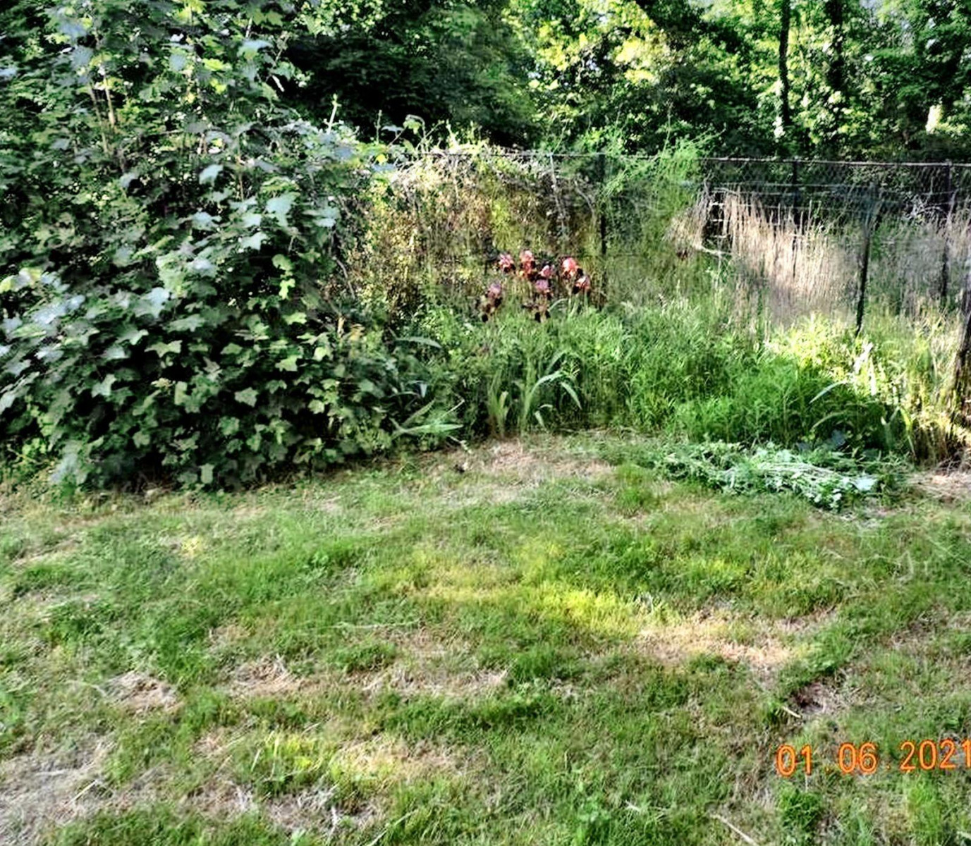 
                                                Location
                                                 Appartement 2 pièces - Parc calme et boisé