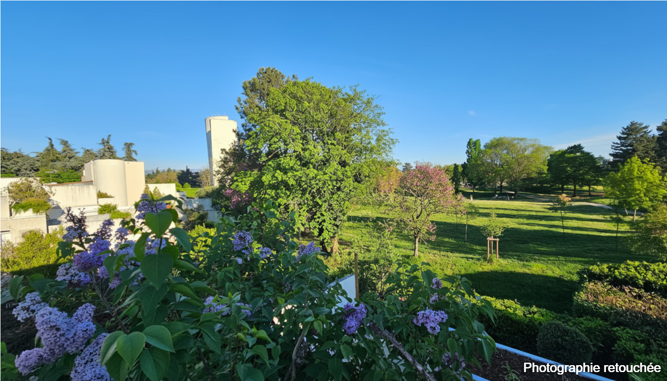 
                                                Vente
                                                 APPARTEMENT 3 CHAMBRES AVEC TERRASSE DE 20 M² FACE AU PARC