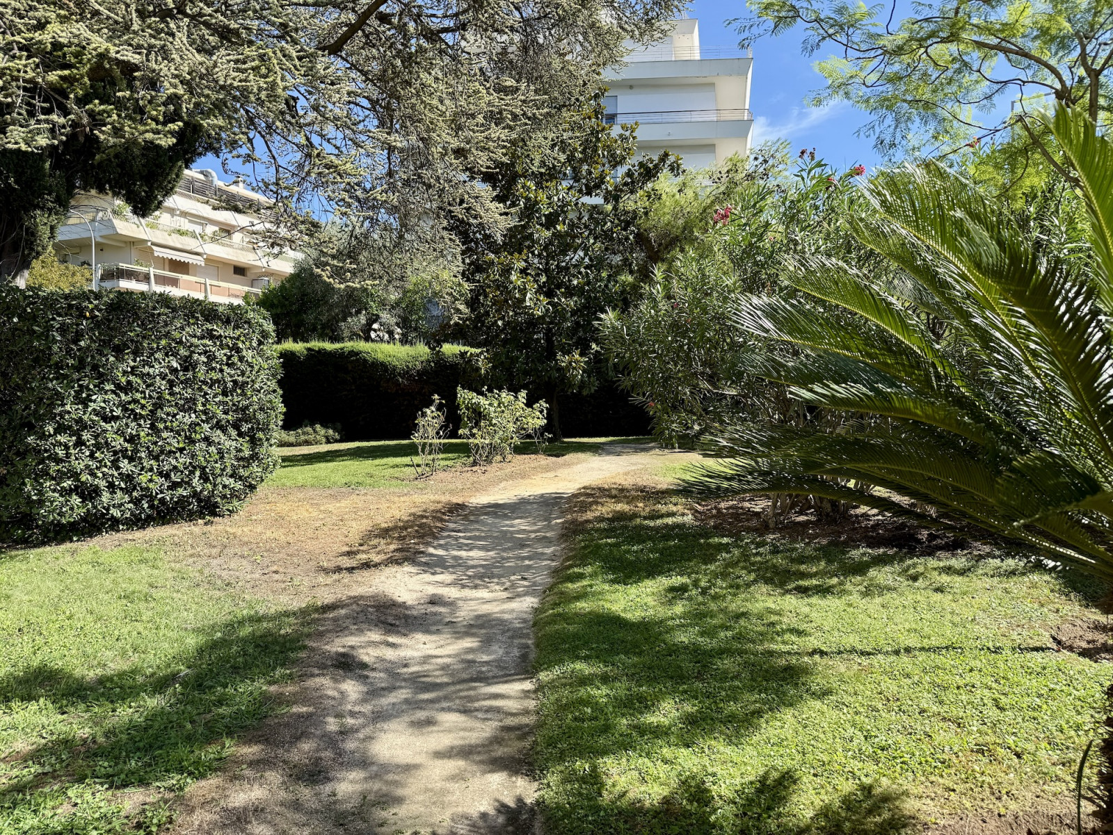 
                                                Vente
                                                 Appartement 3 pièces à rénover – Terrasse, vue dégagée et garage – Nice Cimiez La Paloma