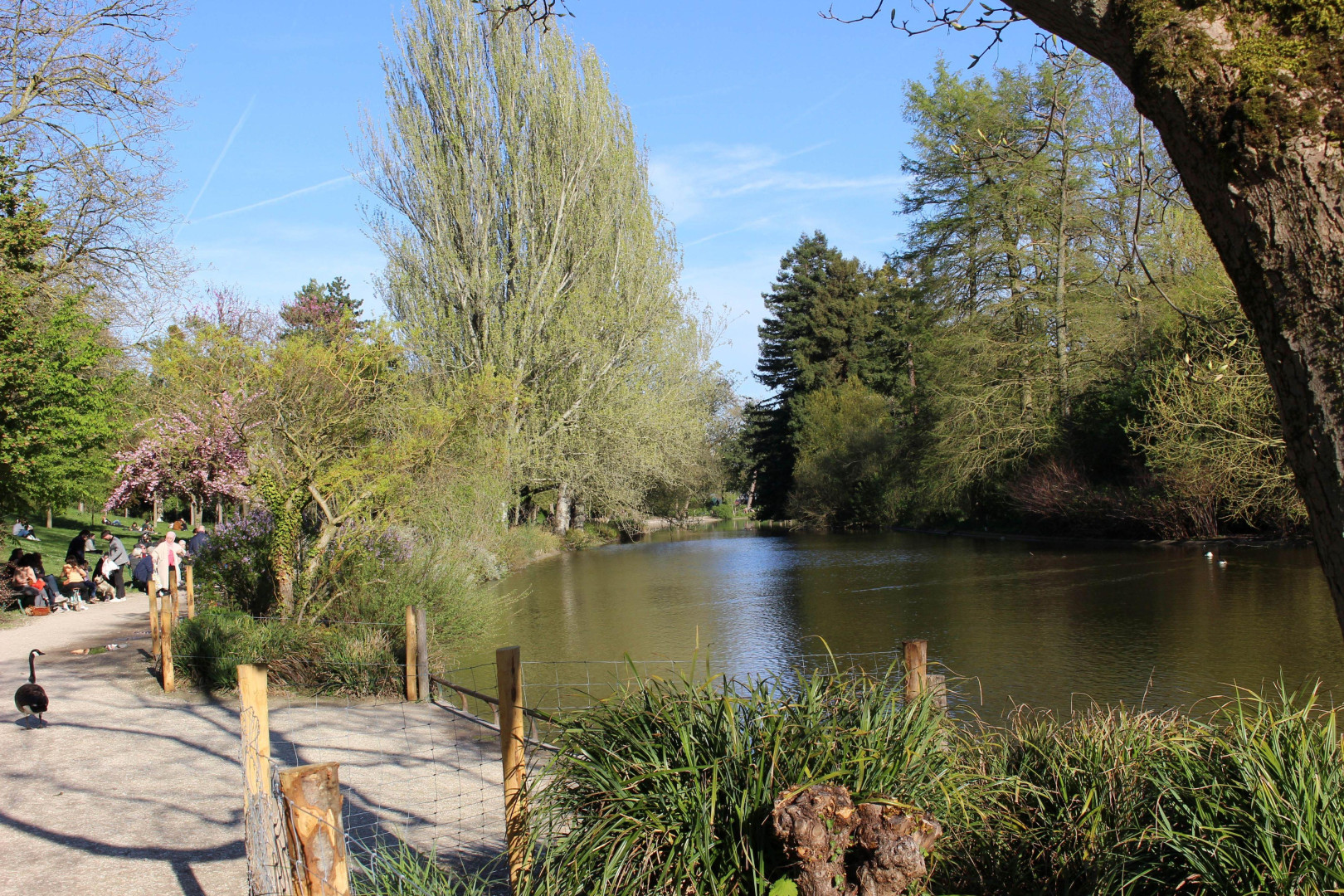 
                                                Vente
                                                 Appartement 4 pièces Vincennes  immeuble face Bois