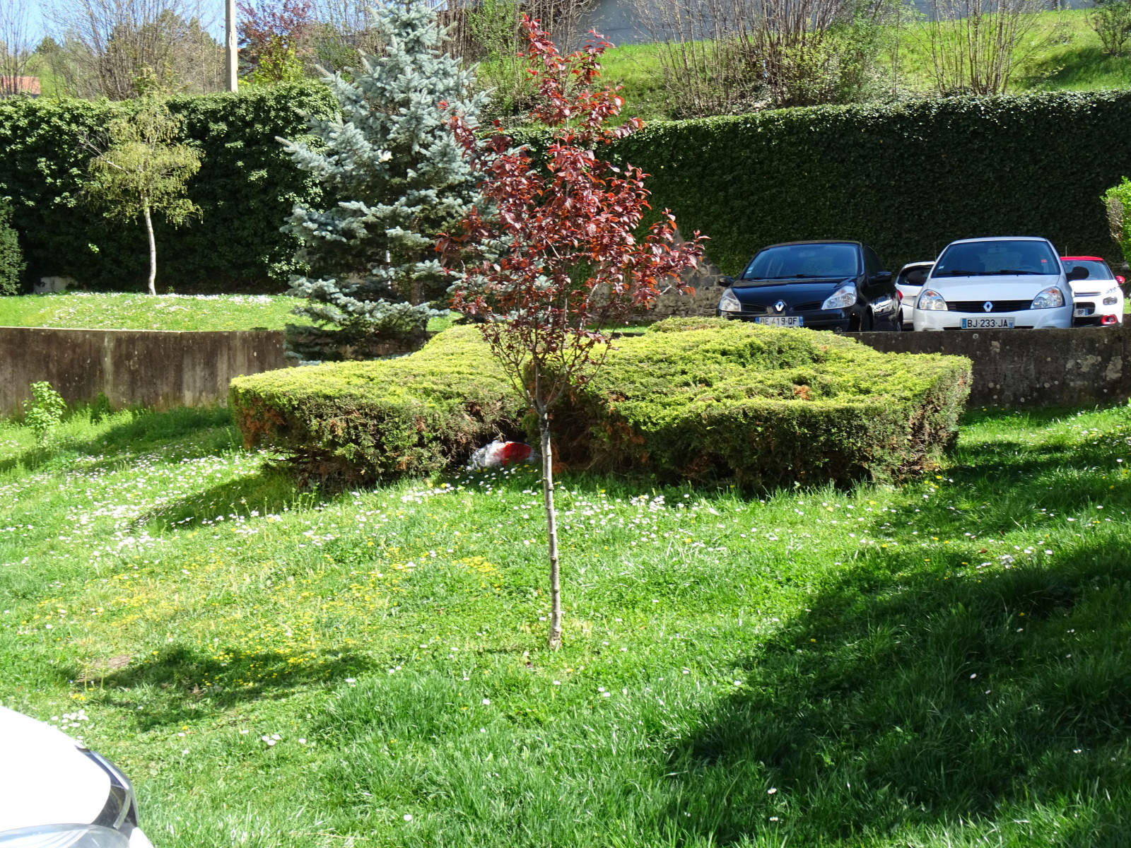 
                                                Vente
                                                 Appartement 4 pièces vue sur la vierge