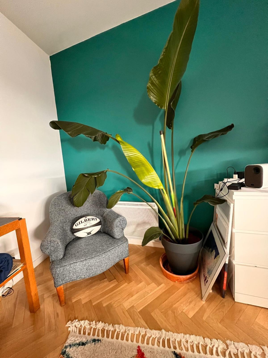 
                                                Location
                                                 Appartement 50 m² à villejuif au calme  ligne 7