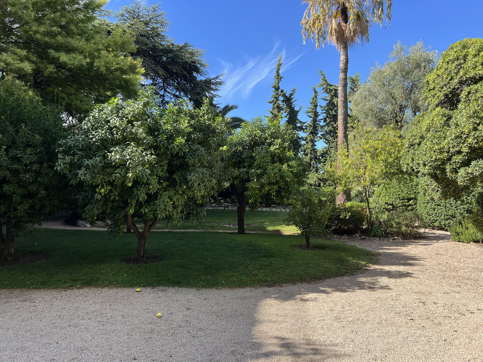 
                                                Location
                                                 Appartement bourgeois au coeur d'un hôtel particulier