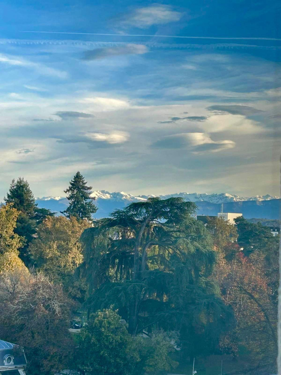 
                                                Location
                                                 Appartement Centre de Pau - T3 80m2 - Vue Pyrénées