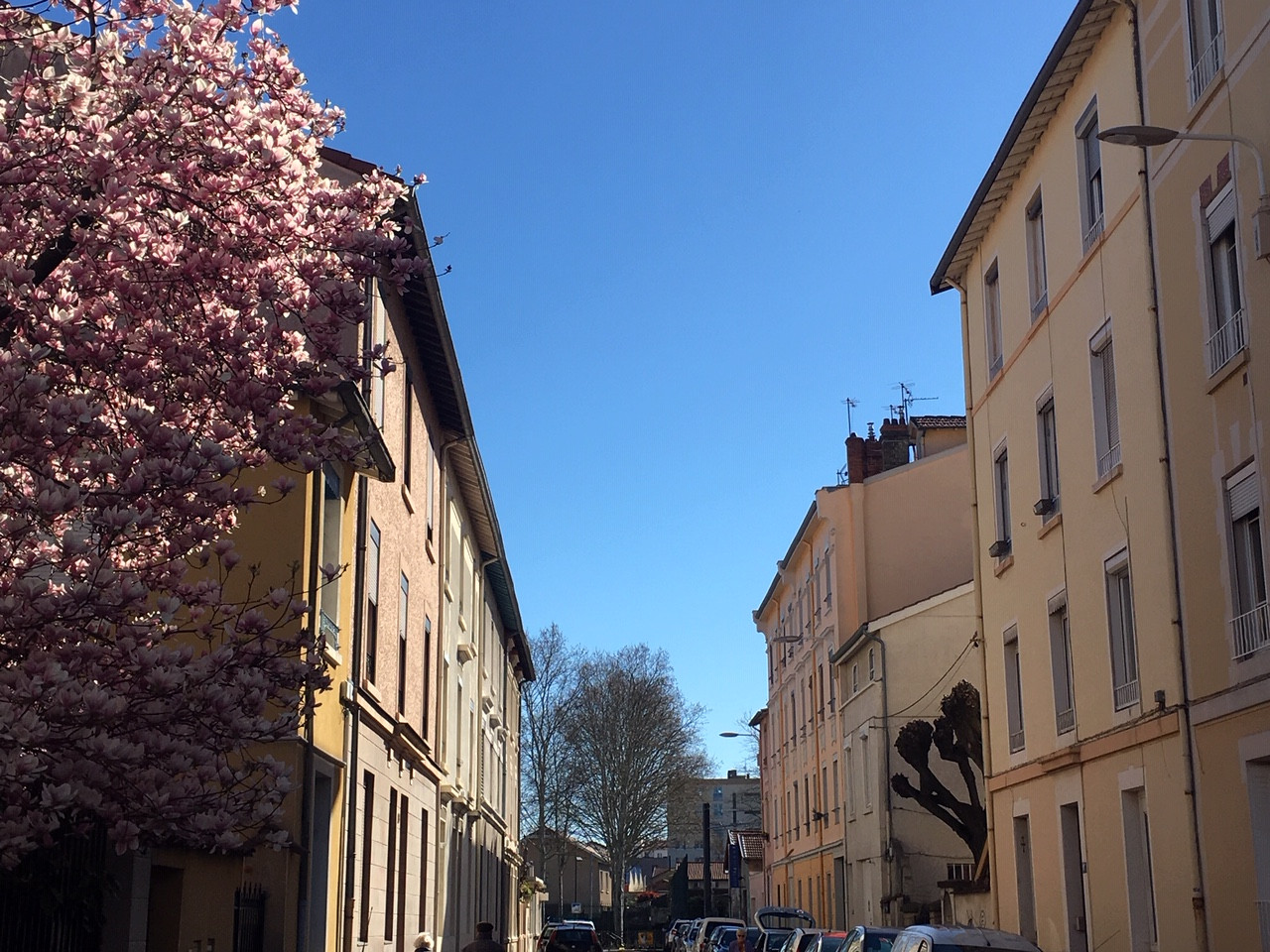
                                                Vente
                                                 Appartement cosy et lumineux • Proche des transports et du Parc Bazin • Lyon 3