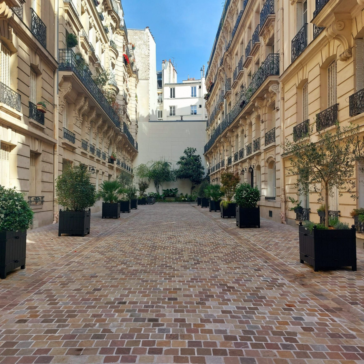 
                                                Location
                                                 Appartement dans un immeuble haussmannien - 1 Salon et 1 Chambre – Calme absolu et sécurisé - proximité immédiate des transports - prisé 9ᵉ​ (loyer tout inclus)