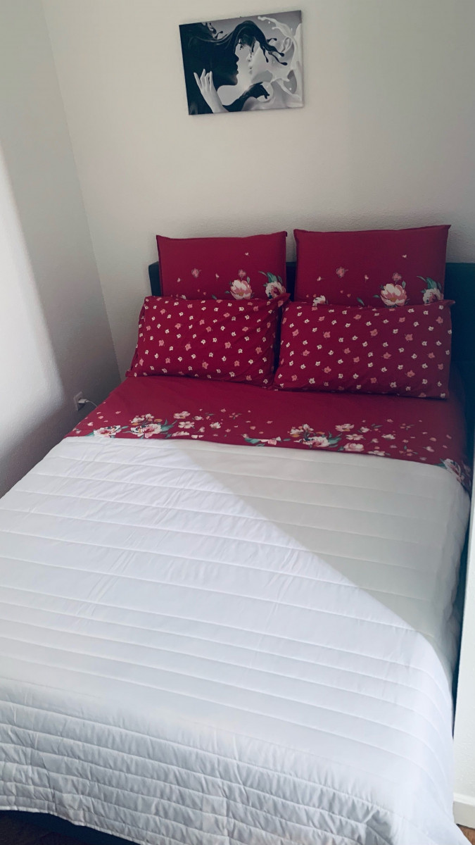 
                                                Location
                                                 appartement de standing (loyer tout inclus)