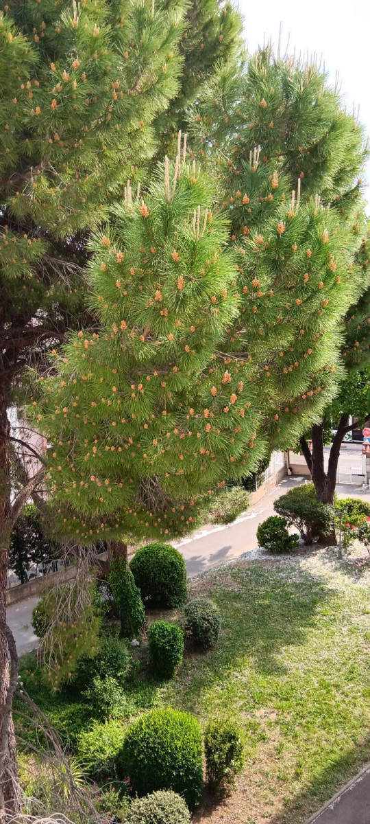 
                                                Location
                                                 Appartement entièrement rénové à Montpellier