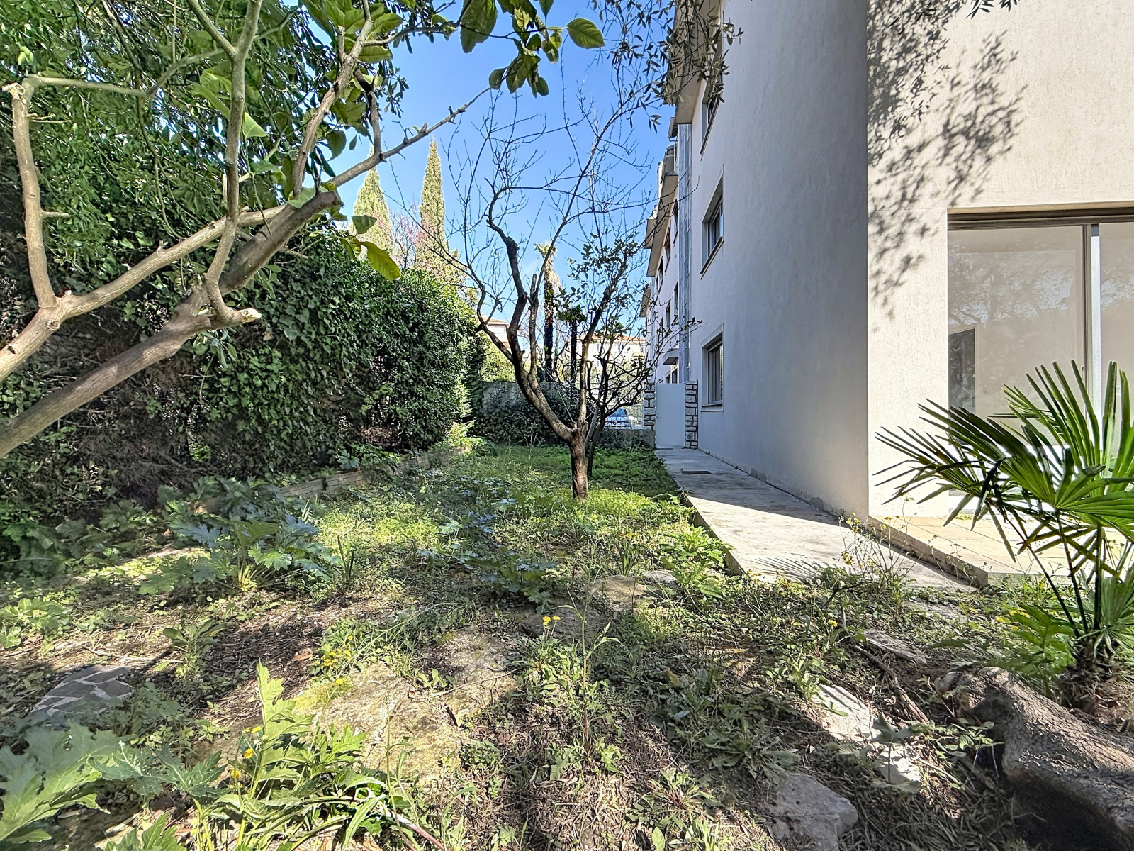 
                                                Vente
                                                 Appartement familial et son merveilleux jardin agrémenté de beaux oliviers.