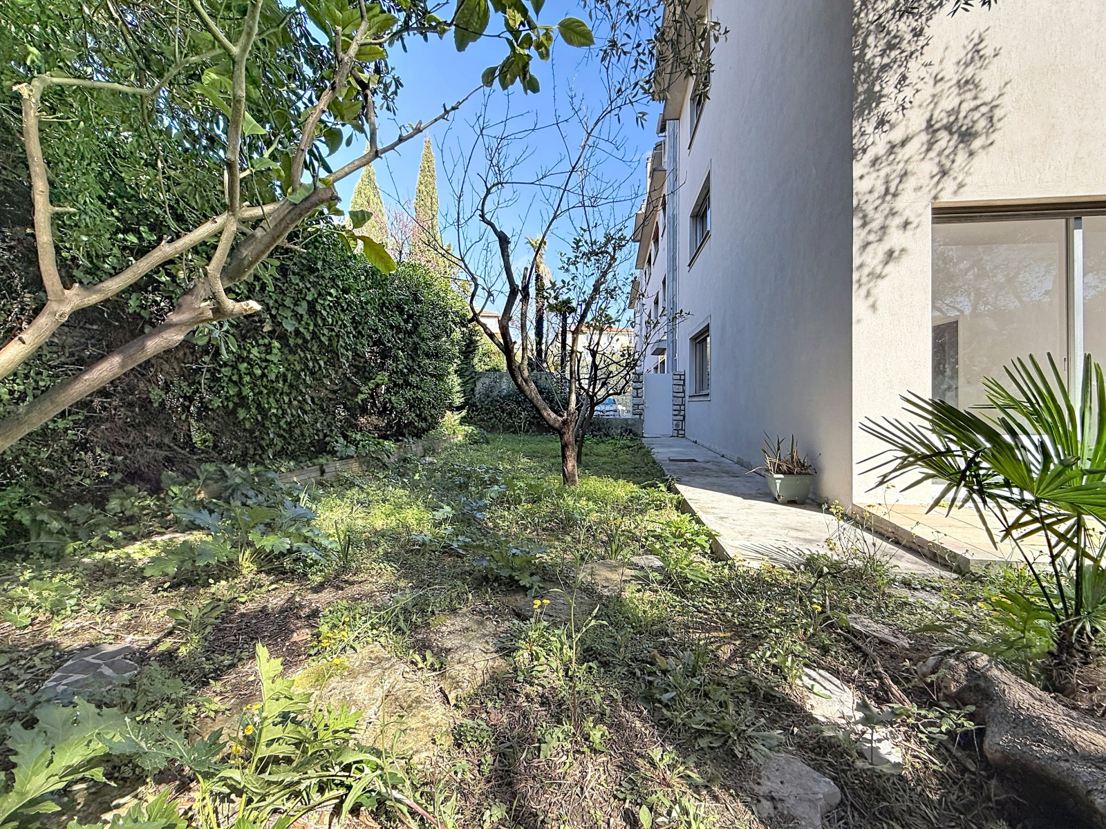 
                                                Vente
                                                 Appartement familial et son merveilleux jardin agrémenté de beaux oliviers.