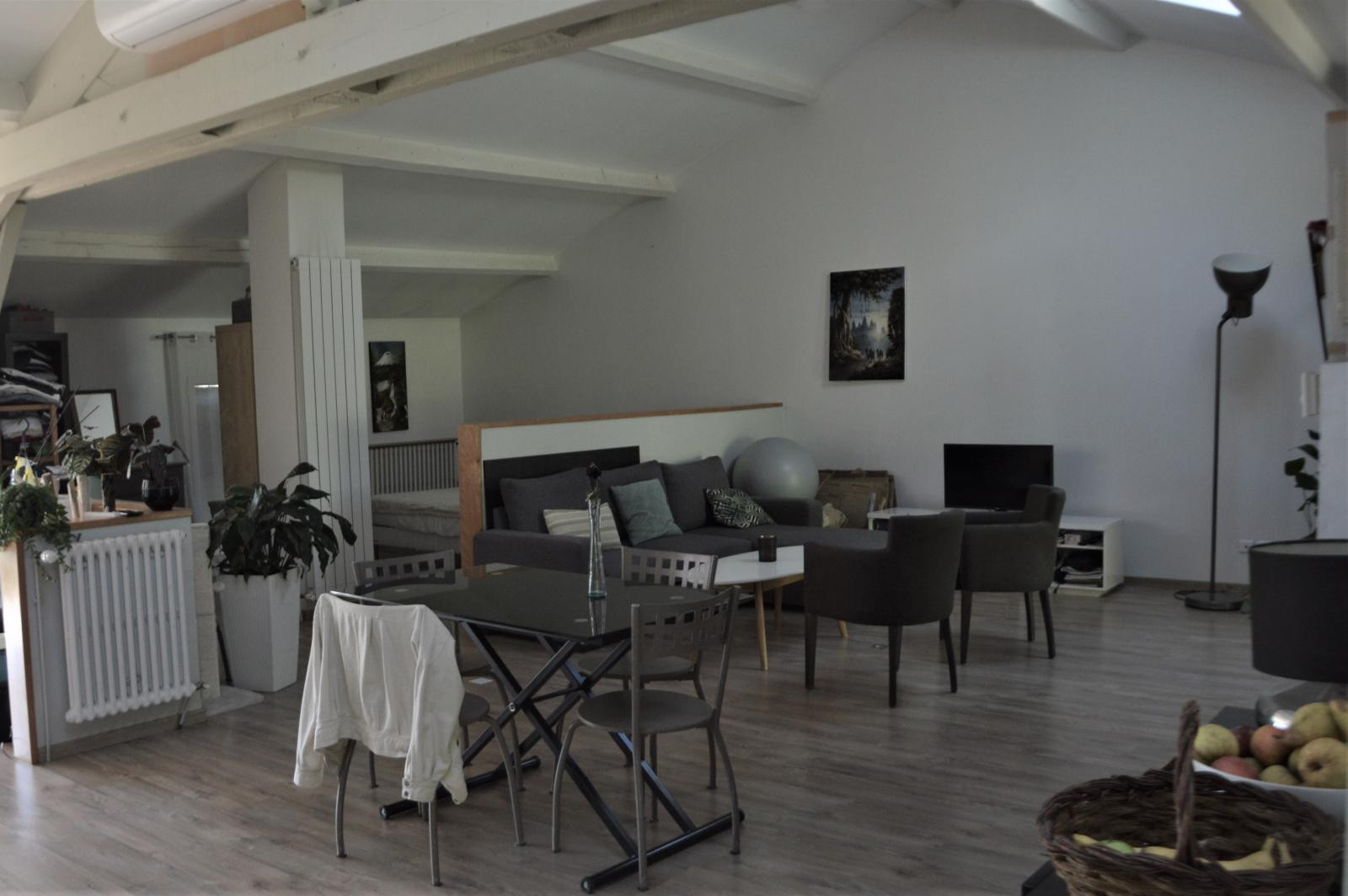 
                                                Location
                                                 Appartement LOFT spacieux