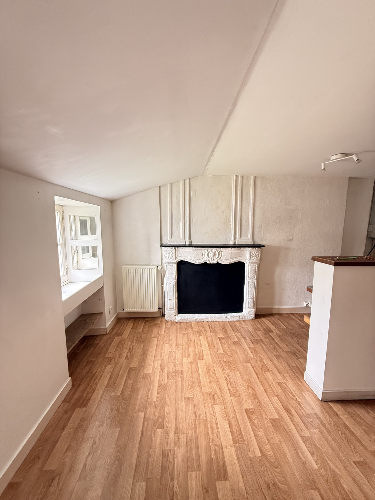 
                                                Vente
                                                 Appartement lumineux avec cheminée au cœur de Nantes
