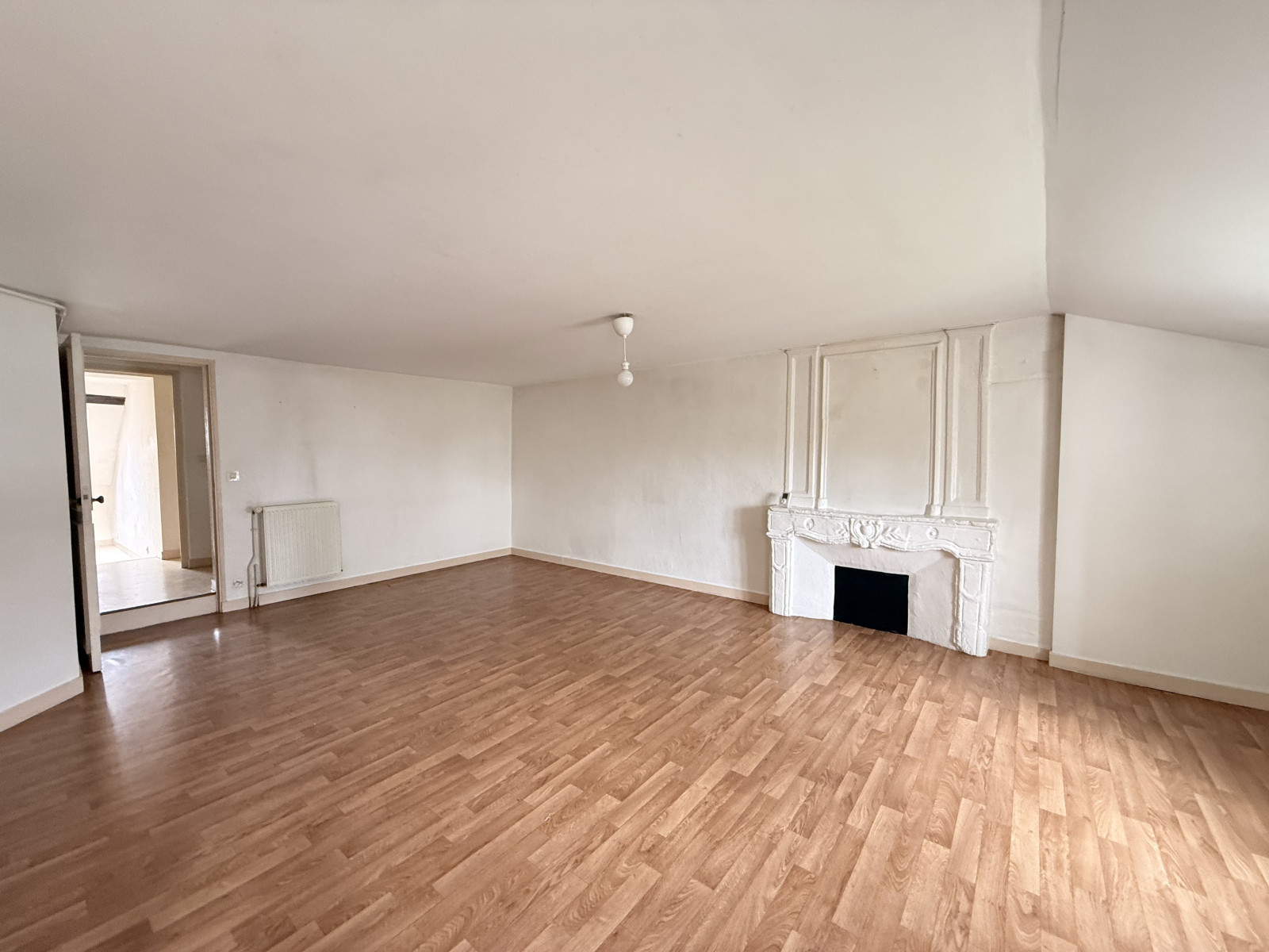 
                                                Vente
                                                 Appartement lumineux avec cheminée au cœur de Nantes