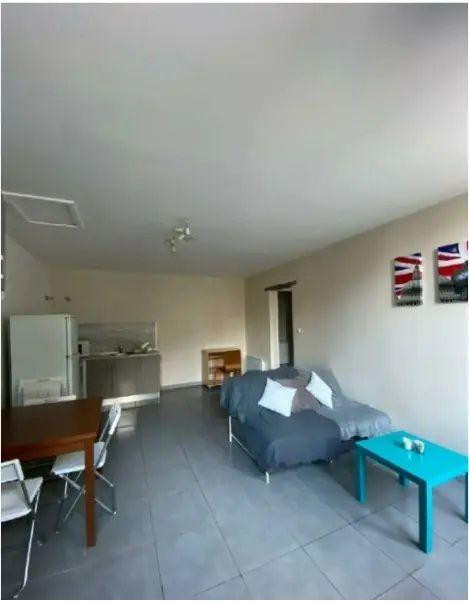 
                                                Location
                                                 Appartement lumineux, centre Saint Étienne